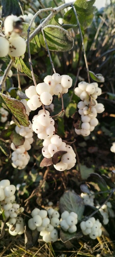 Photograph by роман меринов