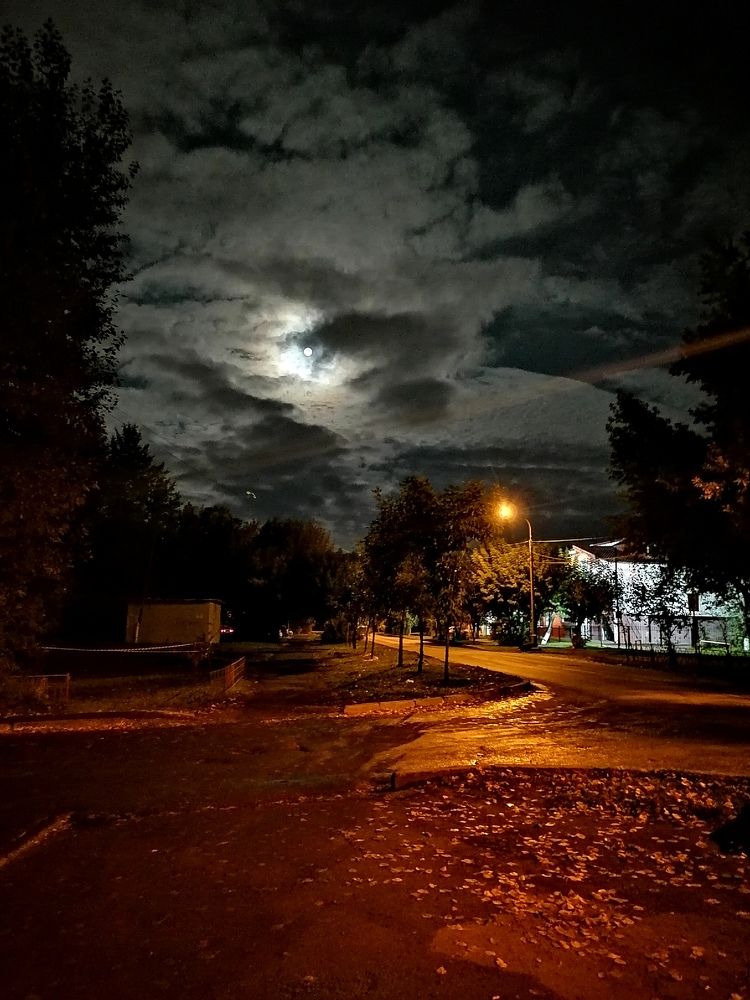 Photograph by Юлия Гагарина