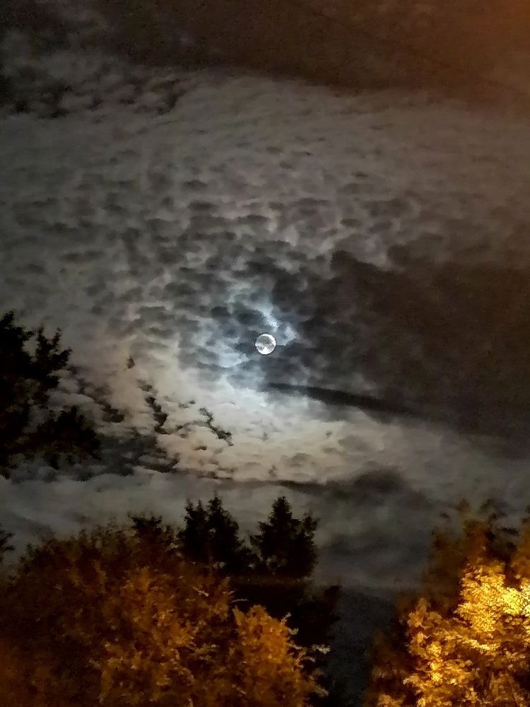 Photograph by Юлия Гагарина