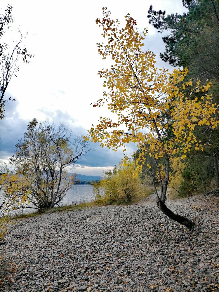 Photograph by Юлия Гагарина