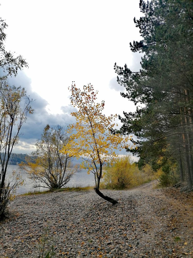 Photograph by Юлия Гагарина