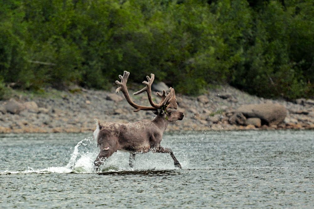 Photograph by Лада Денисова