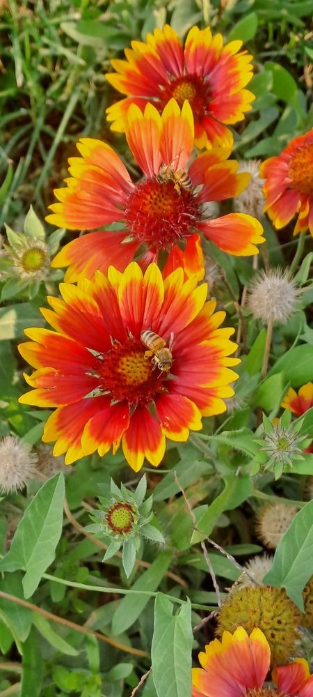 Photograph by mahboube moradalizade