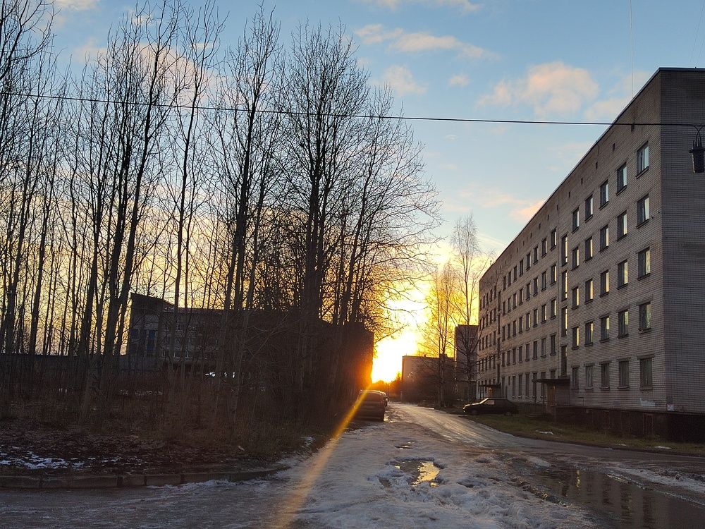 Photograph by Наталья