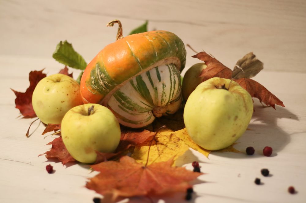 Photograph by Yana Egorova