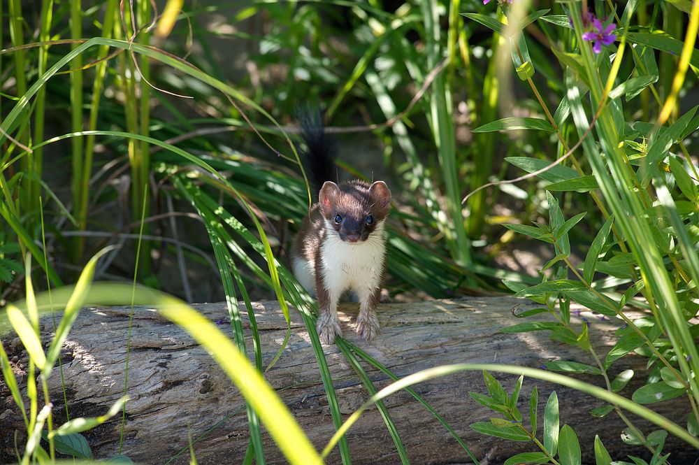 Photograph by Алексей Шехонин