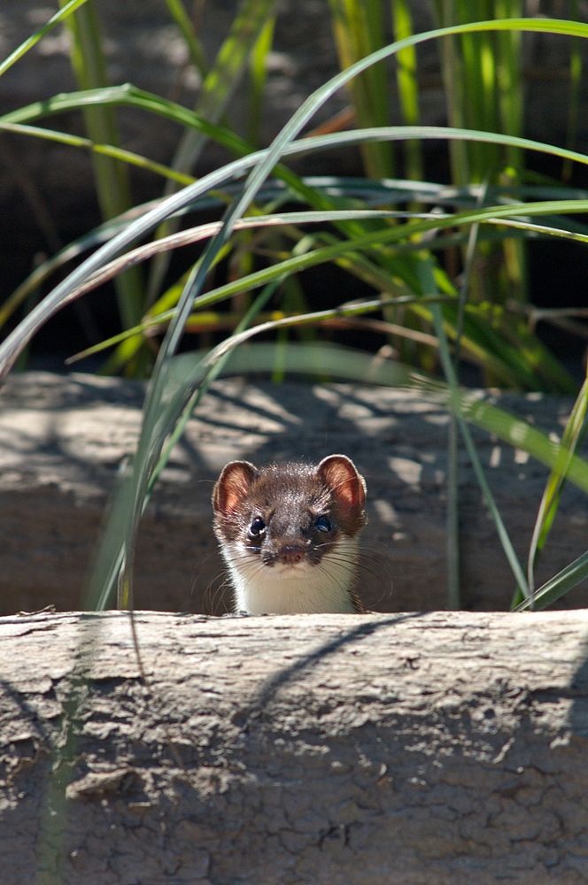 Photograph by Алексей Шехонин