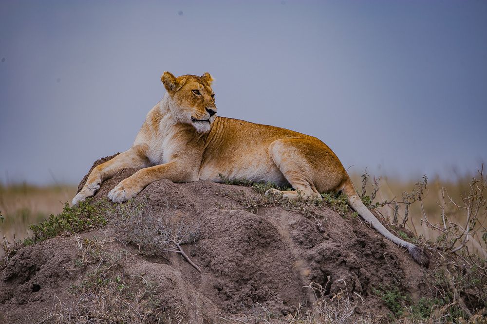 Photograph by Faraja Goodluck