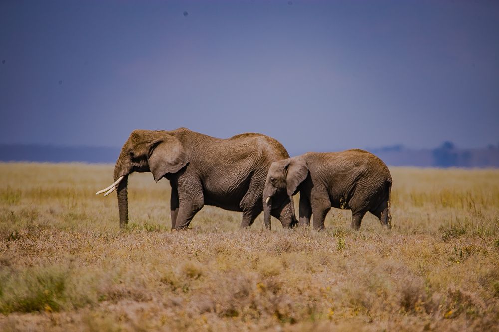 Photograph by Faraja Goodluck