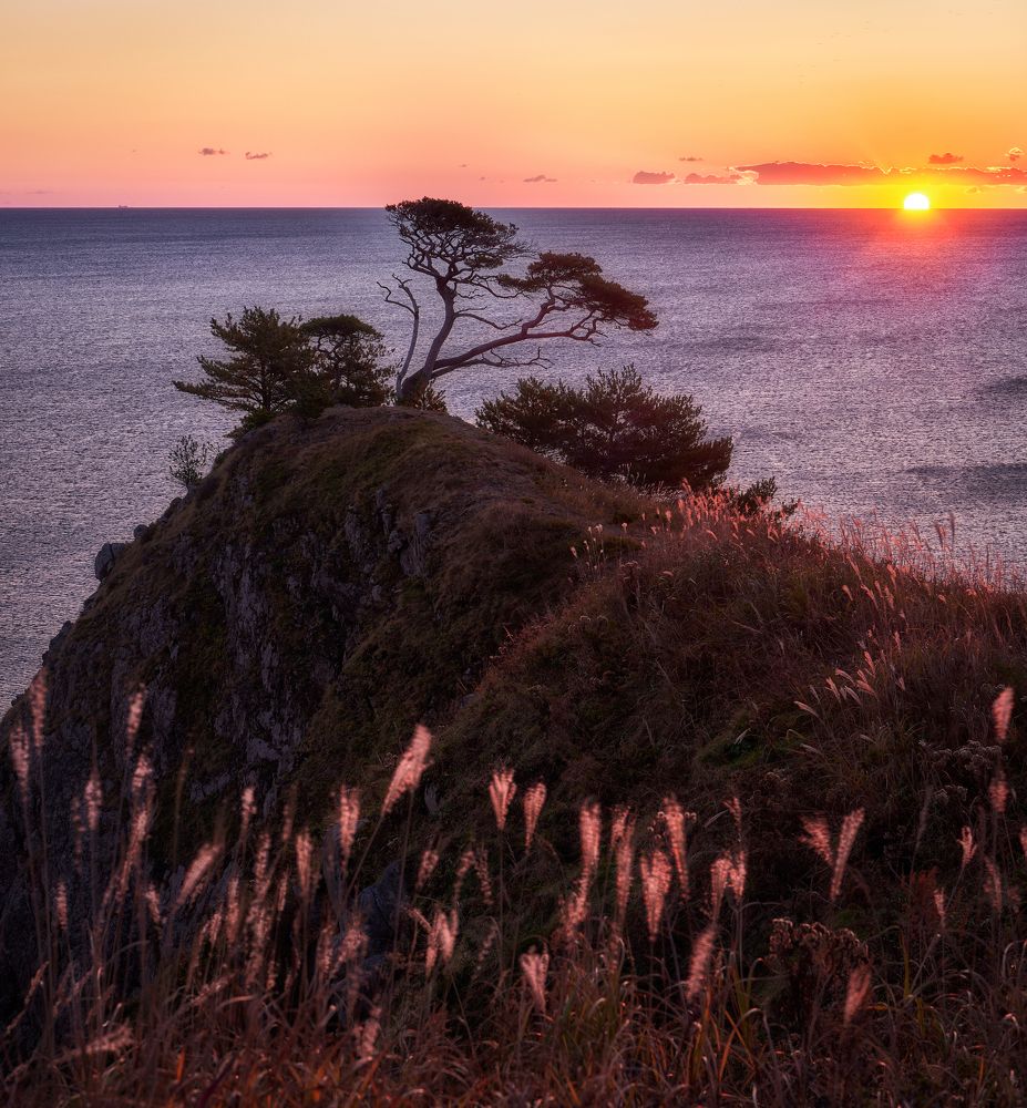 Фотография автора Ivan A. Godovikov