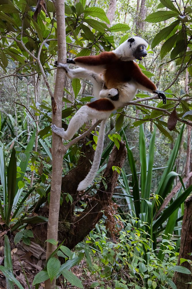 Photograph by Марина Маликова