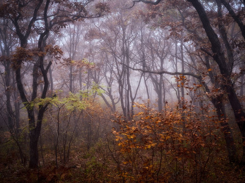 Фотография автора Ivan A. Godovikov