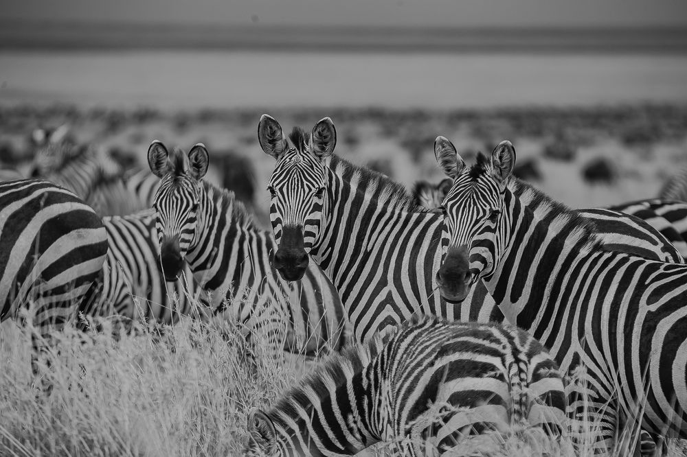 Photograph by Faraja Goodluck