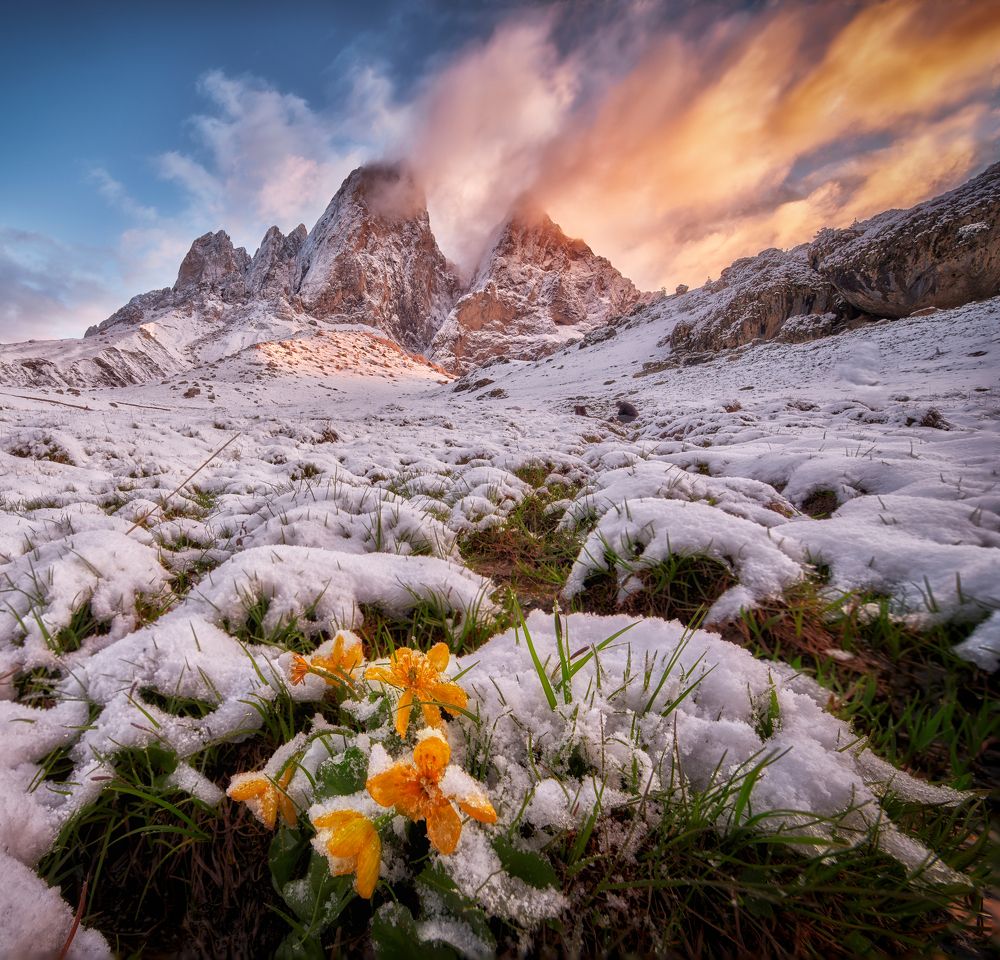 Photograph by Ivan A. Godovikov