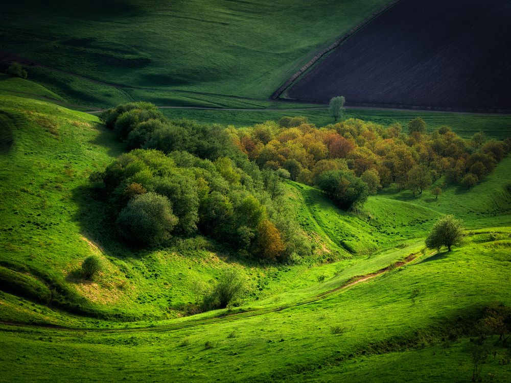 Фотография автора Ivan A. Godovikov