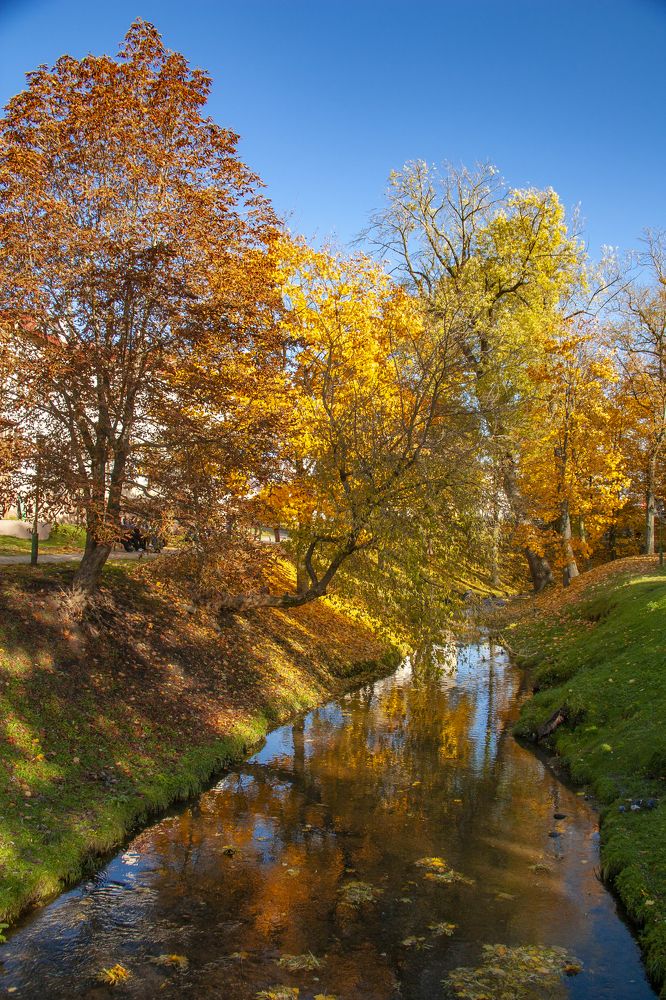 Photograph by Александр Архипов