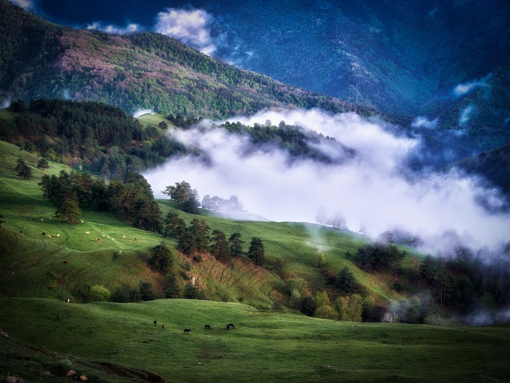 Фотография автора Ivan A. Godovikov