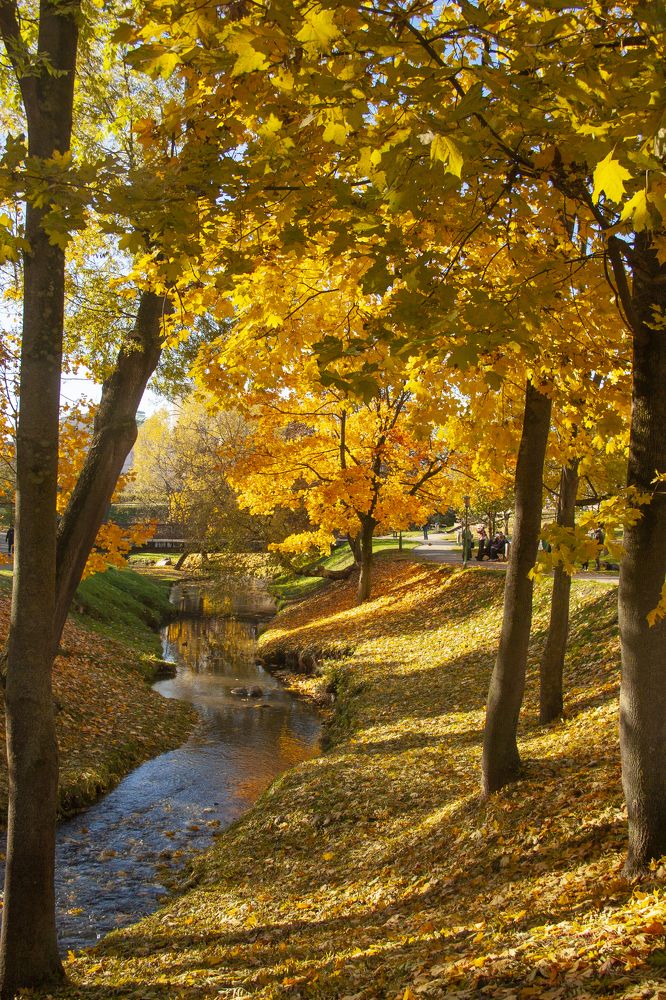 Photograph by Александр Архипов