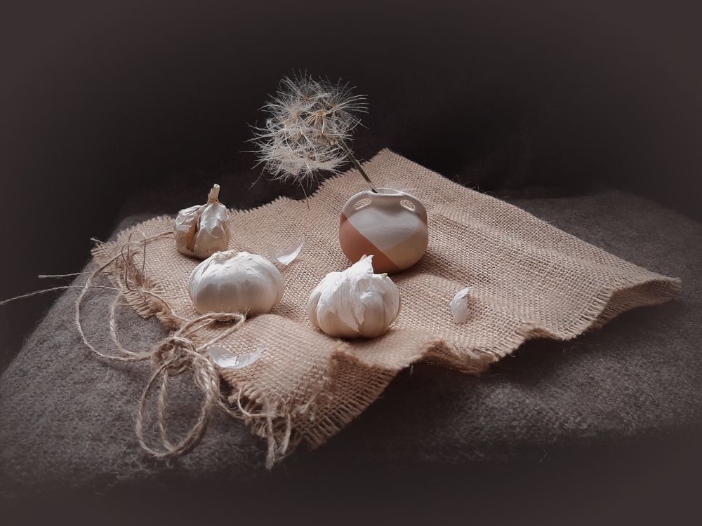 Осенний натюрморт. Чеснок и козлобородник