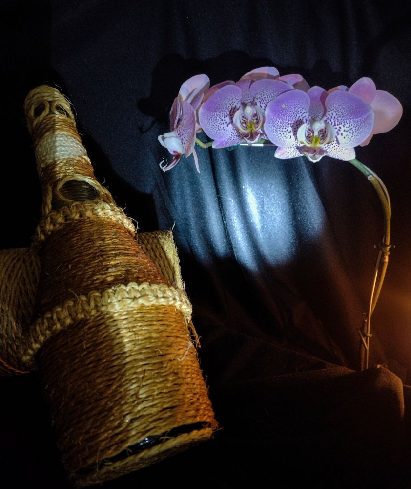 Photograph by HECTOR ANTONIO RAUCHS