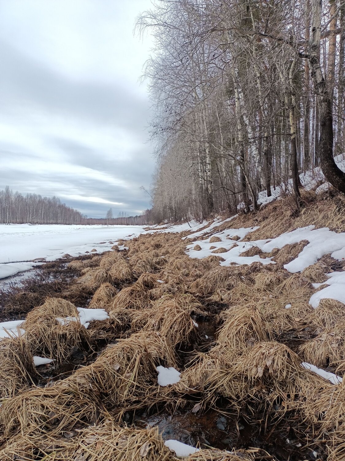 Photo #9869926