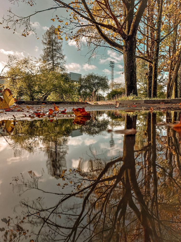 Photograph by Татьяна Олефиренко