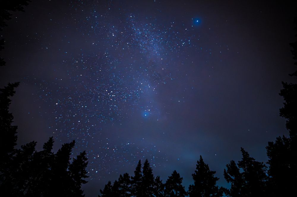 Photograph by Lisa Buzova