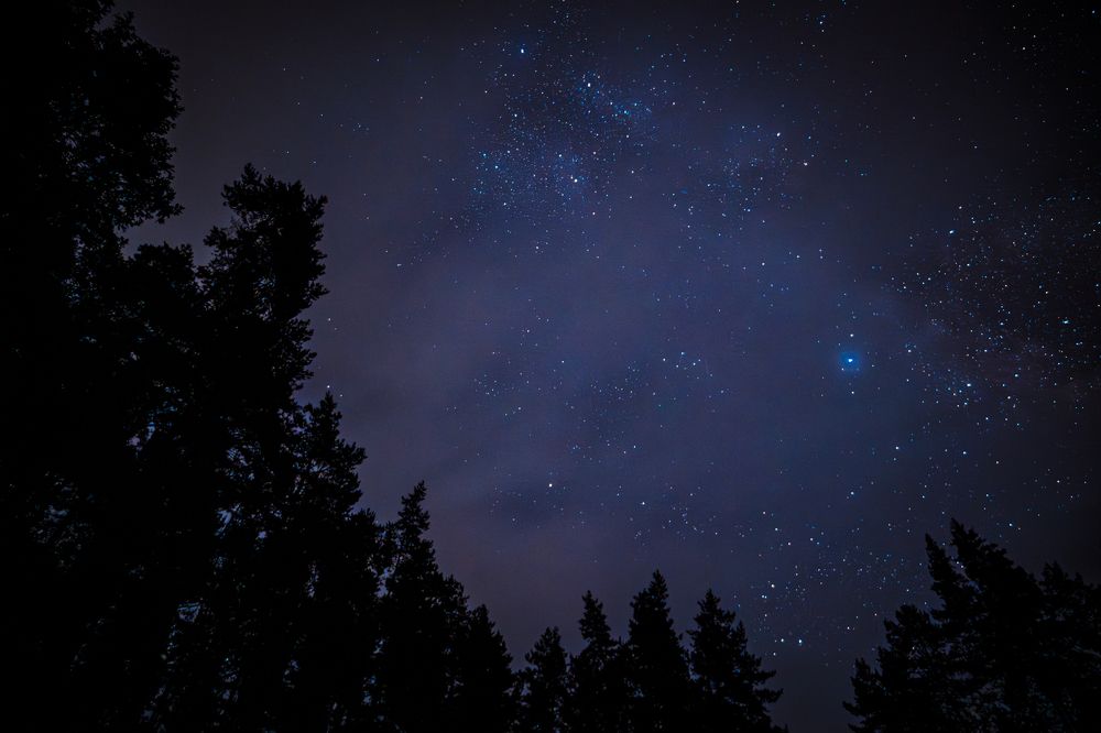 Photograph by Lisa Buzova