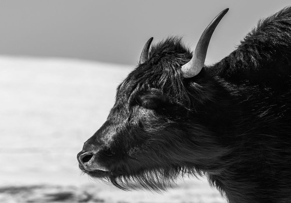 Photograph by Sergey Lexin