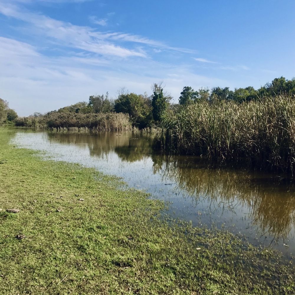 Фотография автора Demet Yakut