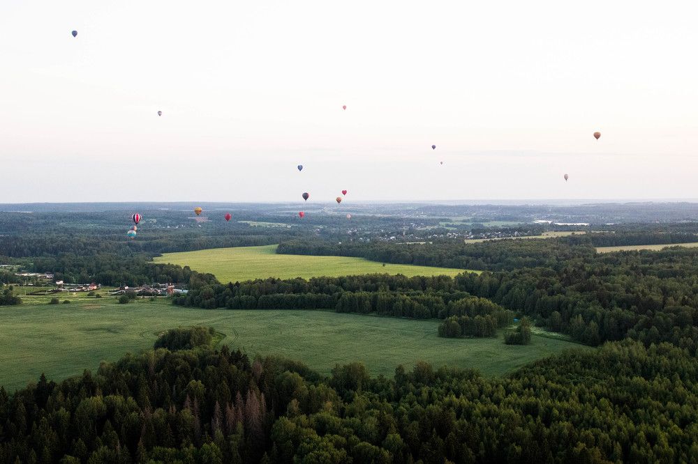 Photograph by Татьяна Музыка