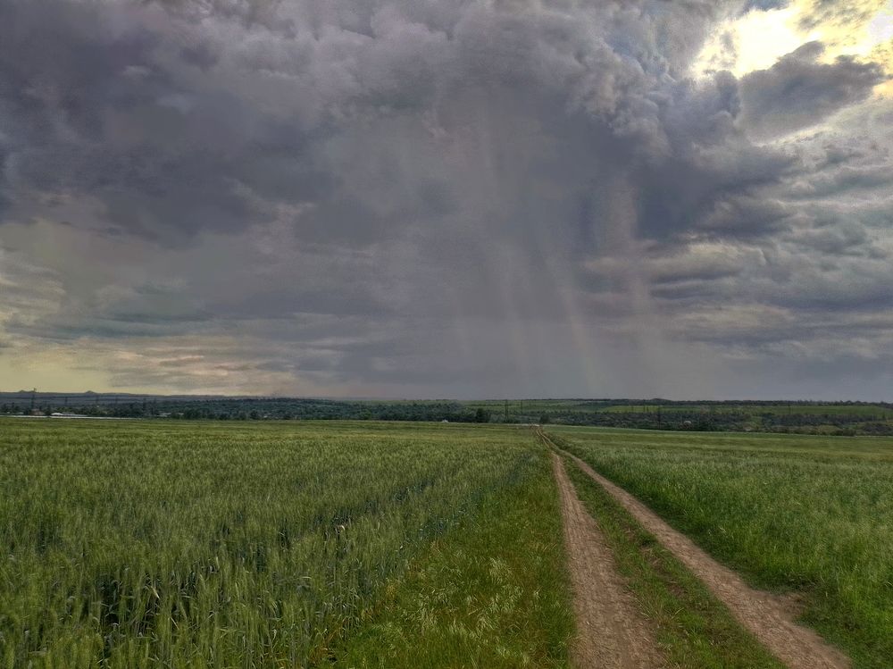 Photograph by Олег Радионов
