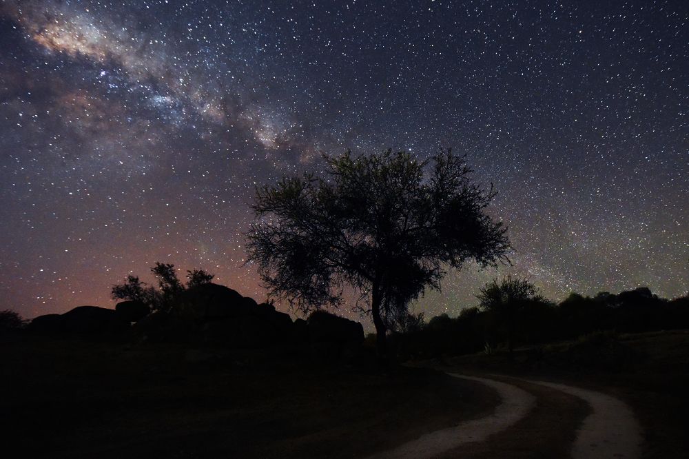 Photograph by SI SABER LOTFI