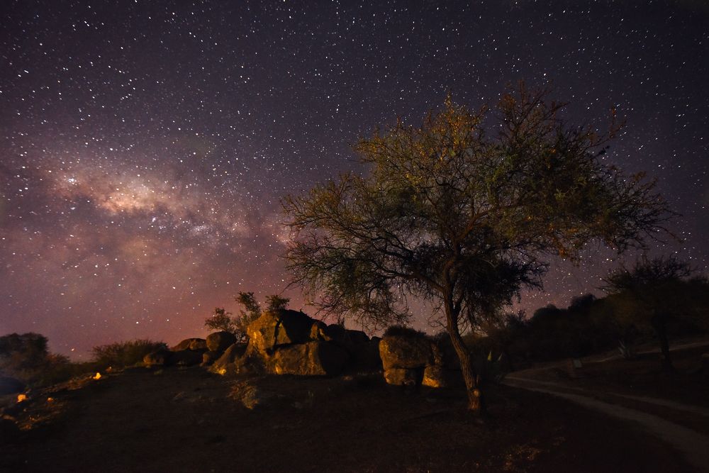 Photograph by SI SABER LOTFI