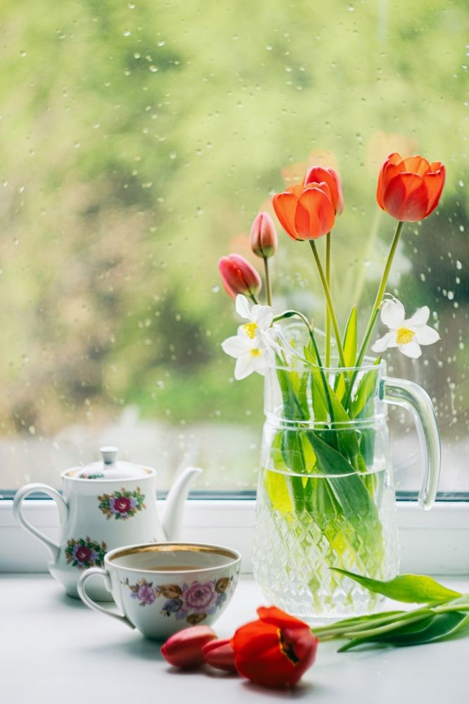 Photograph by Юлия Авдеева