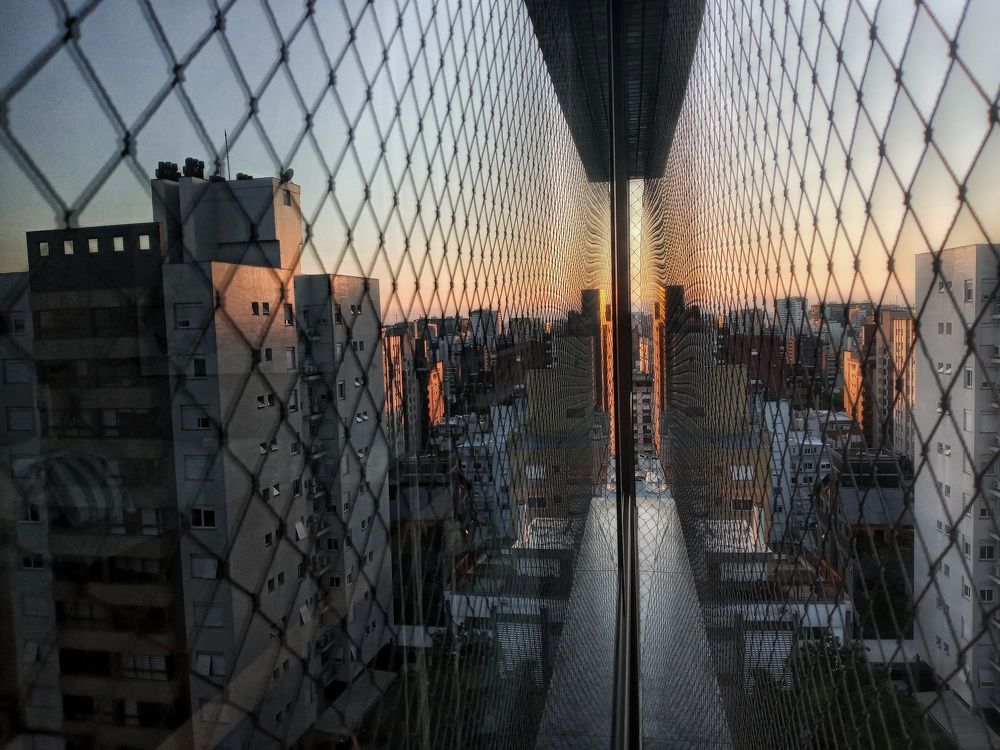 Photograph by Álvaro Bertoni Sanguinetti