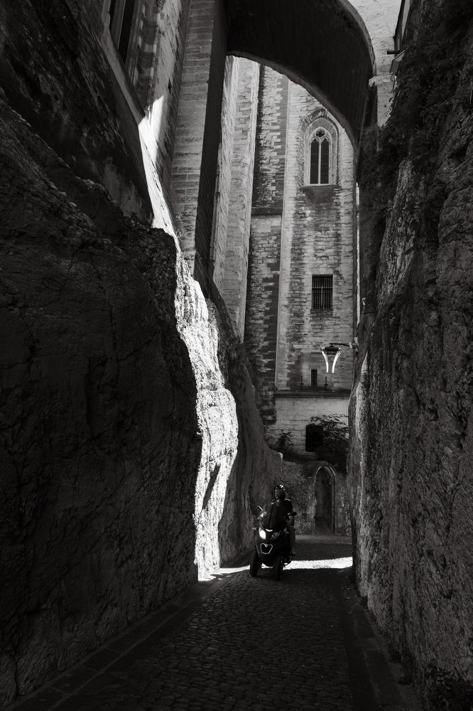 Photograph by Natalia Bogomolova