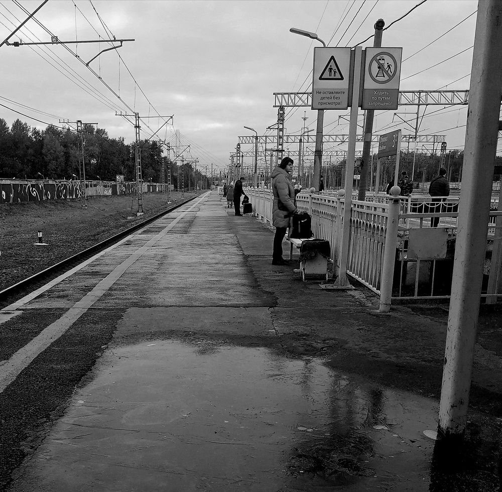 Photo #9870255