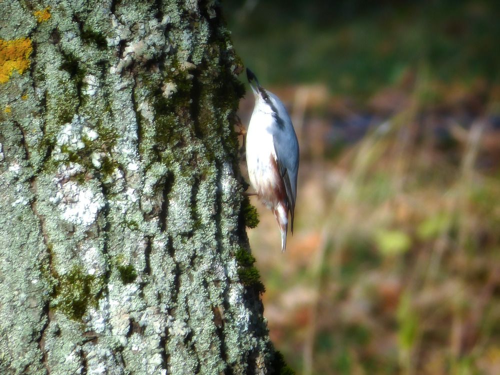 Photograph by Денис Панов