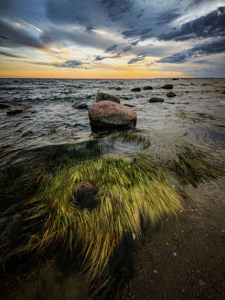 В вихре вечера