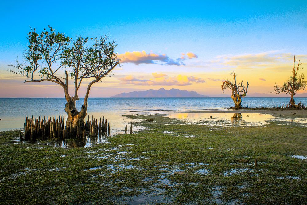 Фотография автора Ronald Mitak