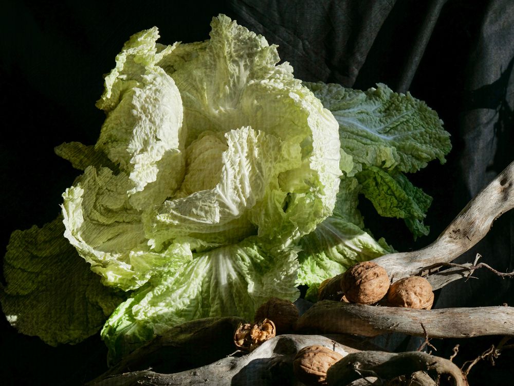 Photograph by Наталья Заровнева