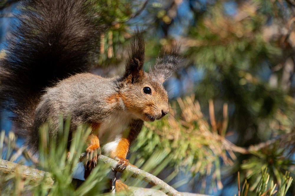 Photograph by Фастовец Викторовна