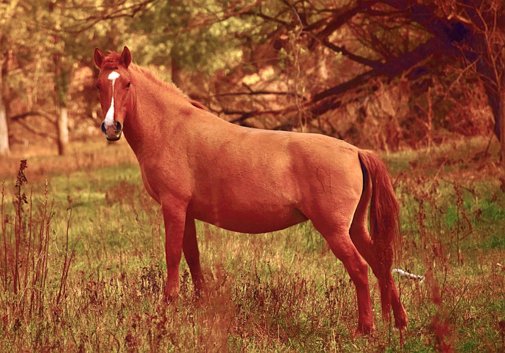 Photograph by Александр Шувалов