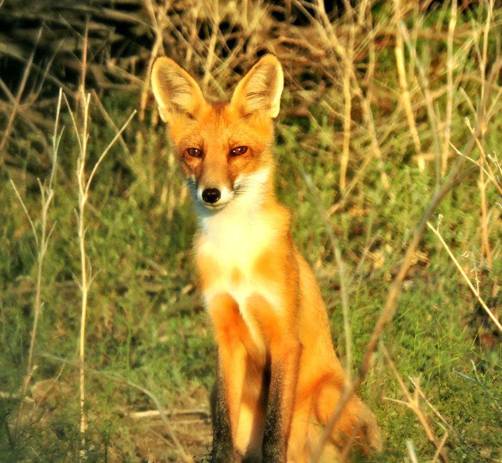Photograph by Александр Шувалов