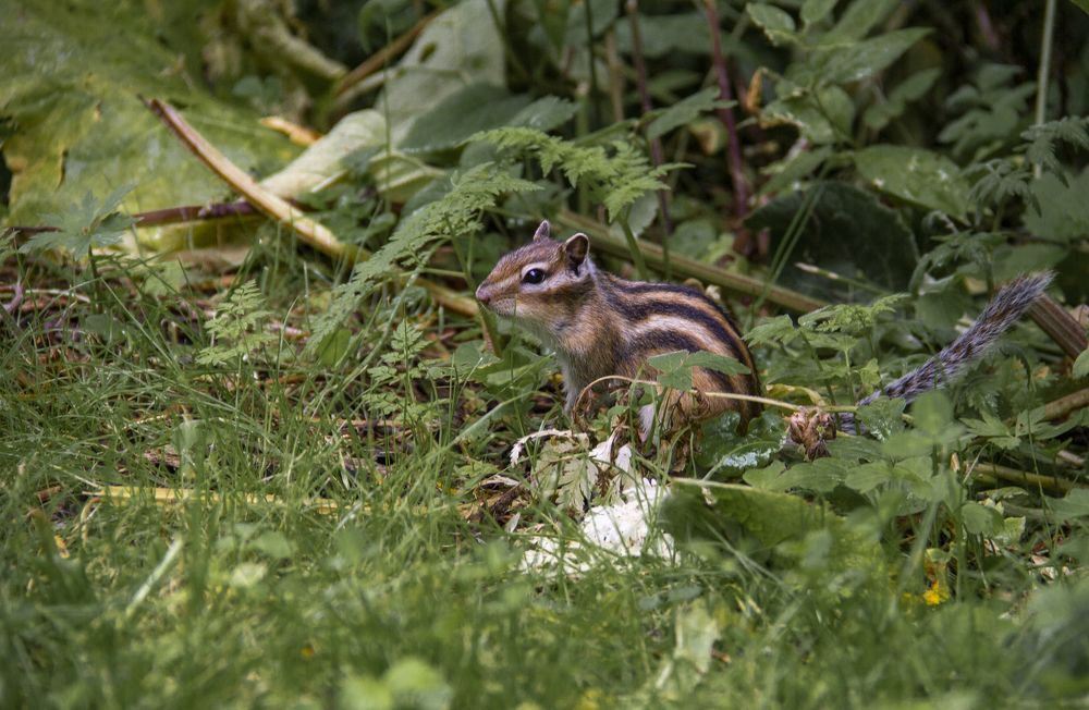 Photograph by Ирина Рыжова