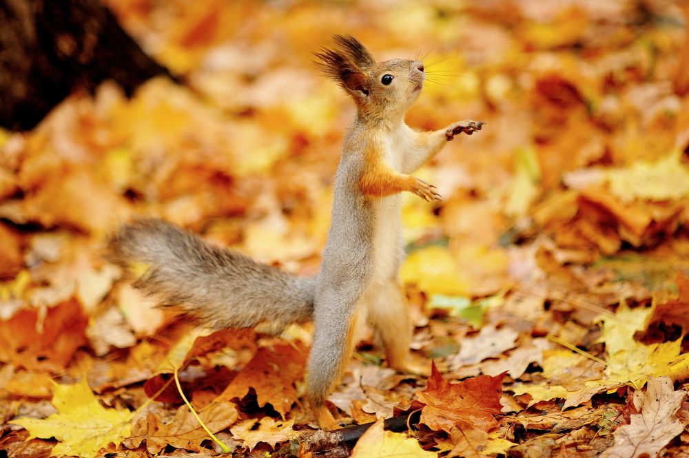 Photograph by Алексей Козлов