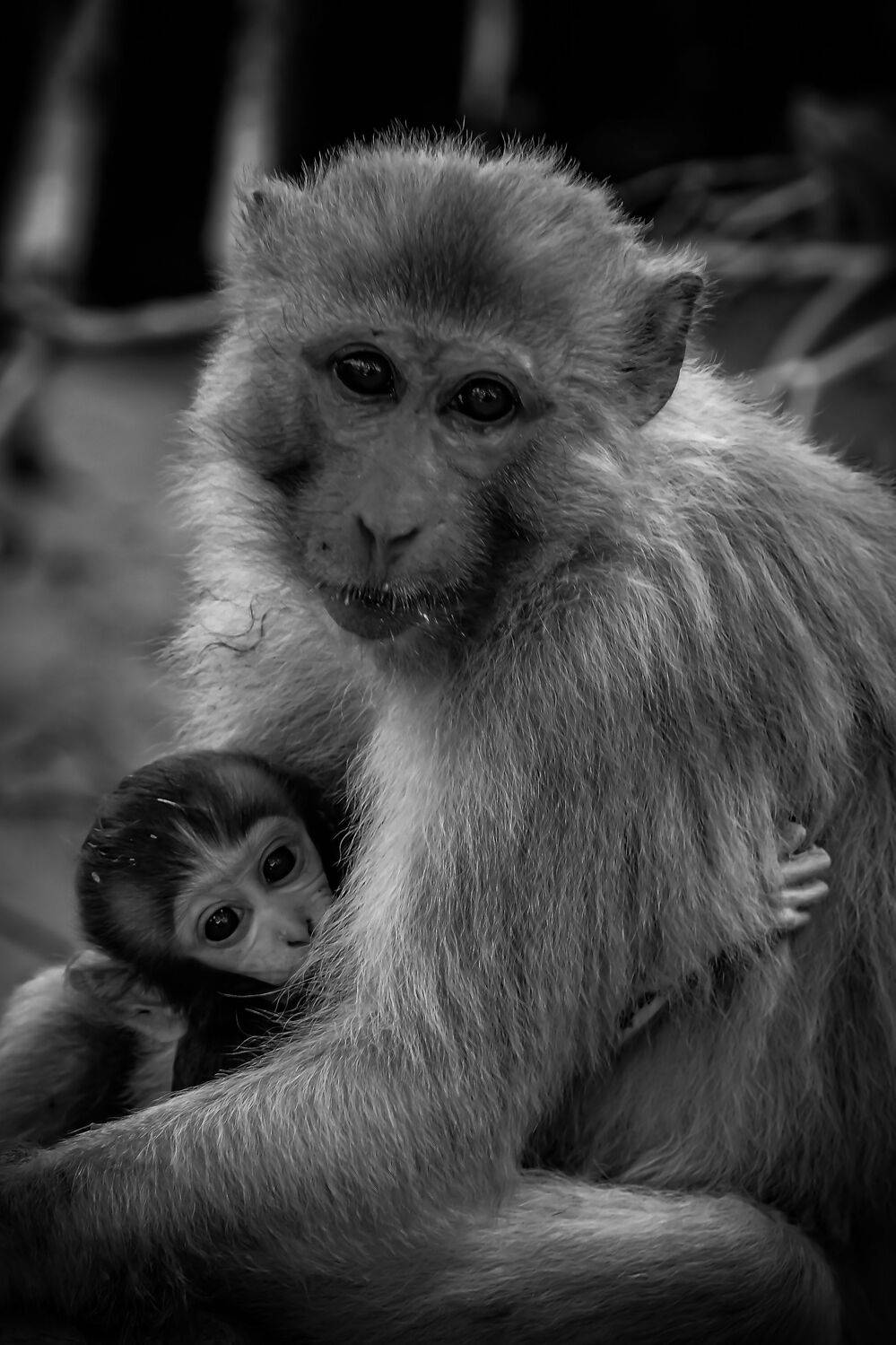 Photo #9870594