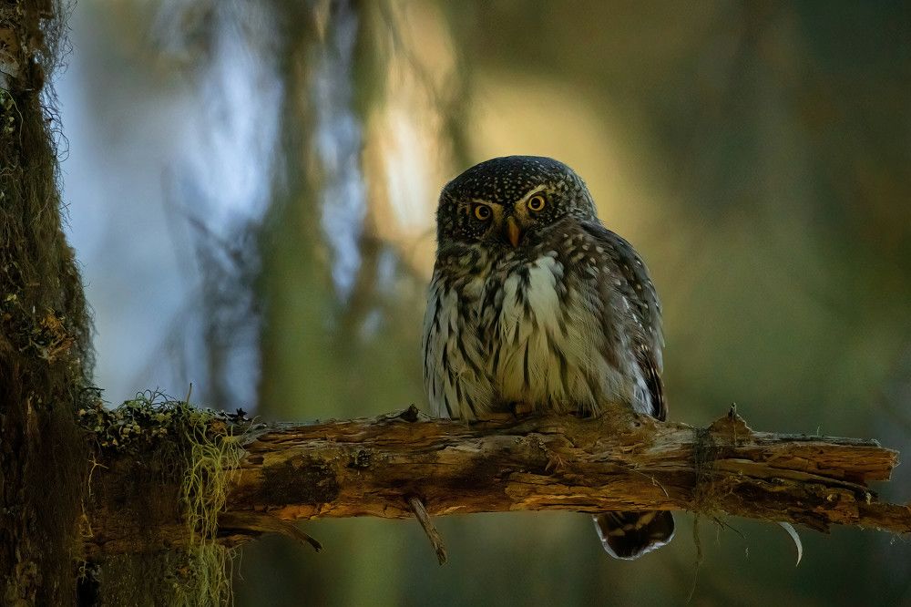 Photograph by Nikolay Stoyanov