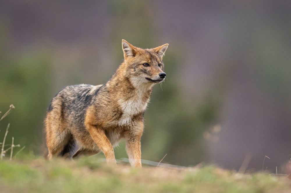 Photograph by Nikolay Stoyanov